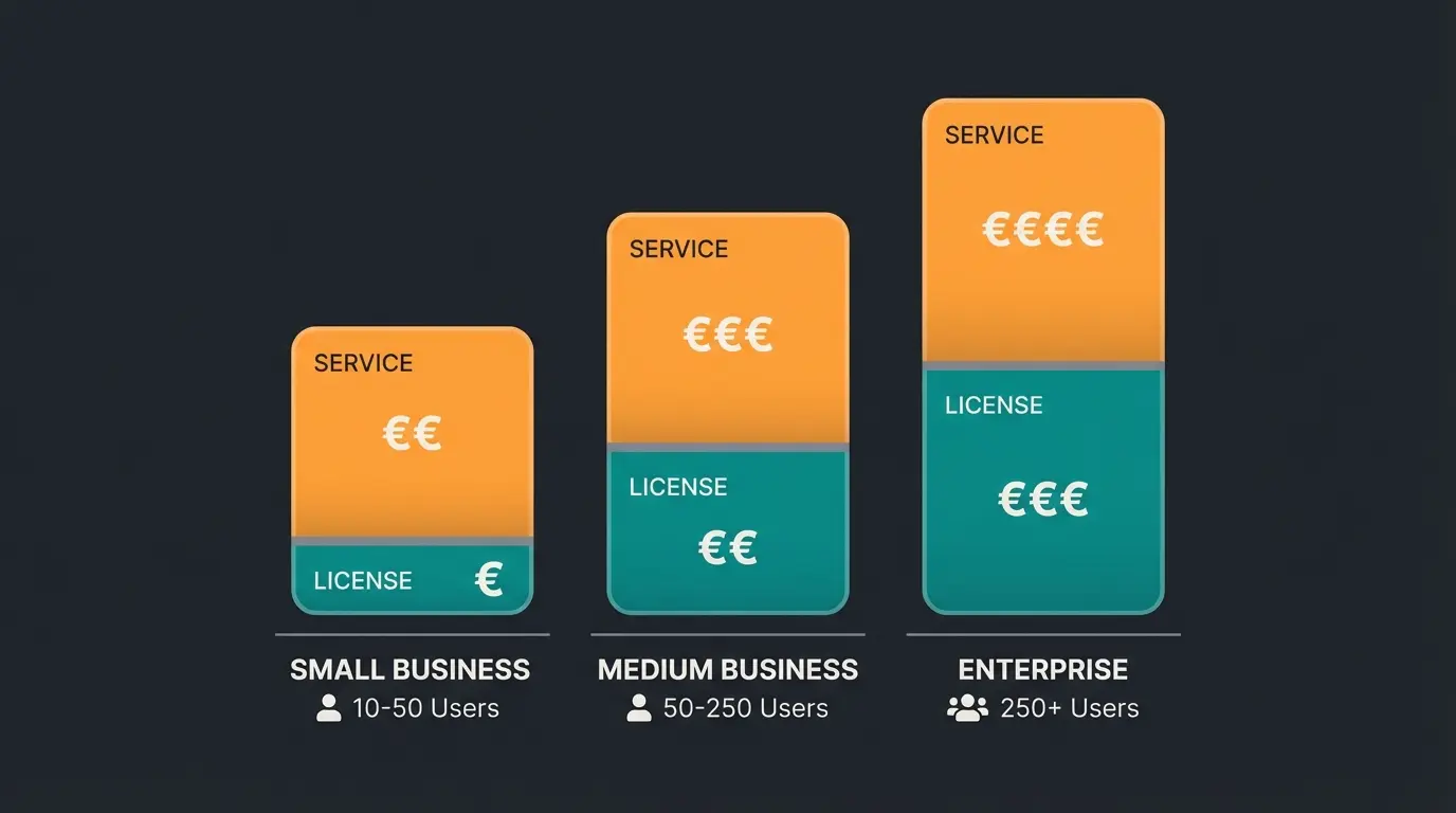 Kostenvergleich verschiedener ERP-Szenarien für Unternehmen unterschiedlicher Größe