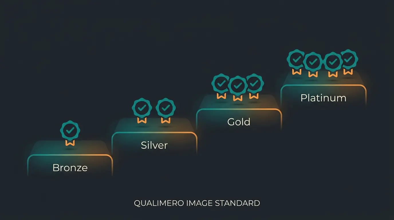 Shopware partner certification tiers from Bronze to Platinum with increasing requirements